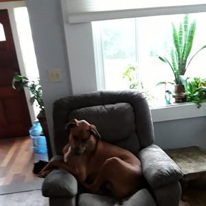 Meet your Posher, Stephen